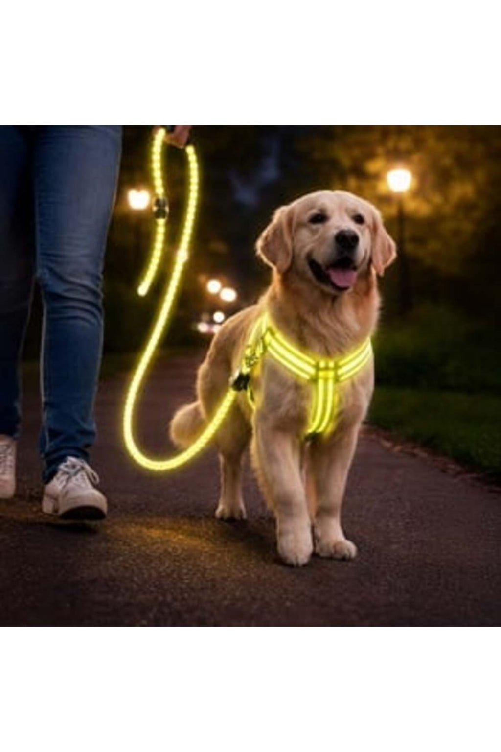 Set Lesa pentru Caine cu Ham Galben Neon