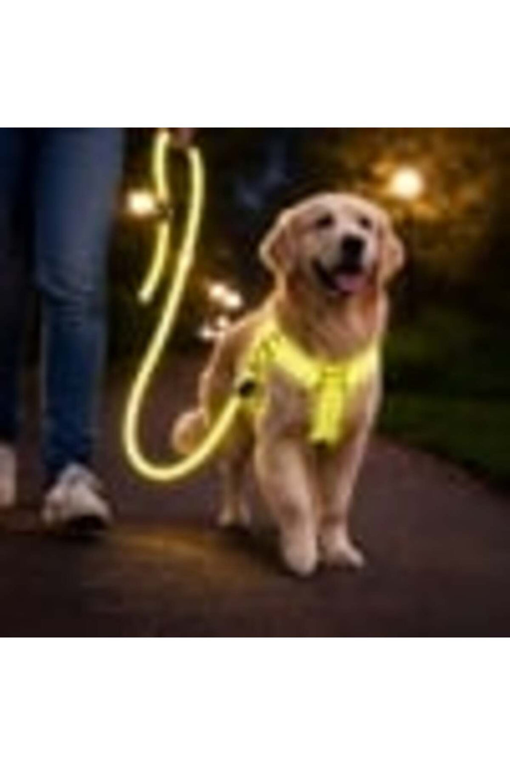 Set Lesa pentru Caine cu Ham Galben Neon