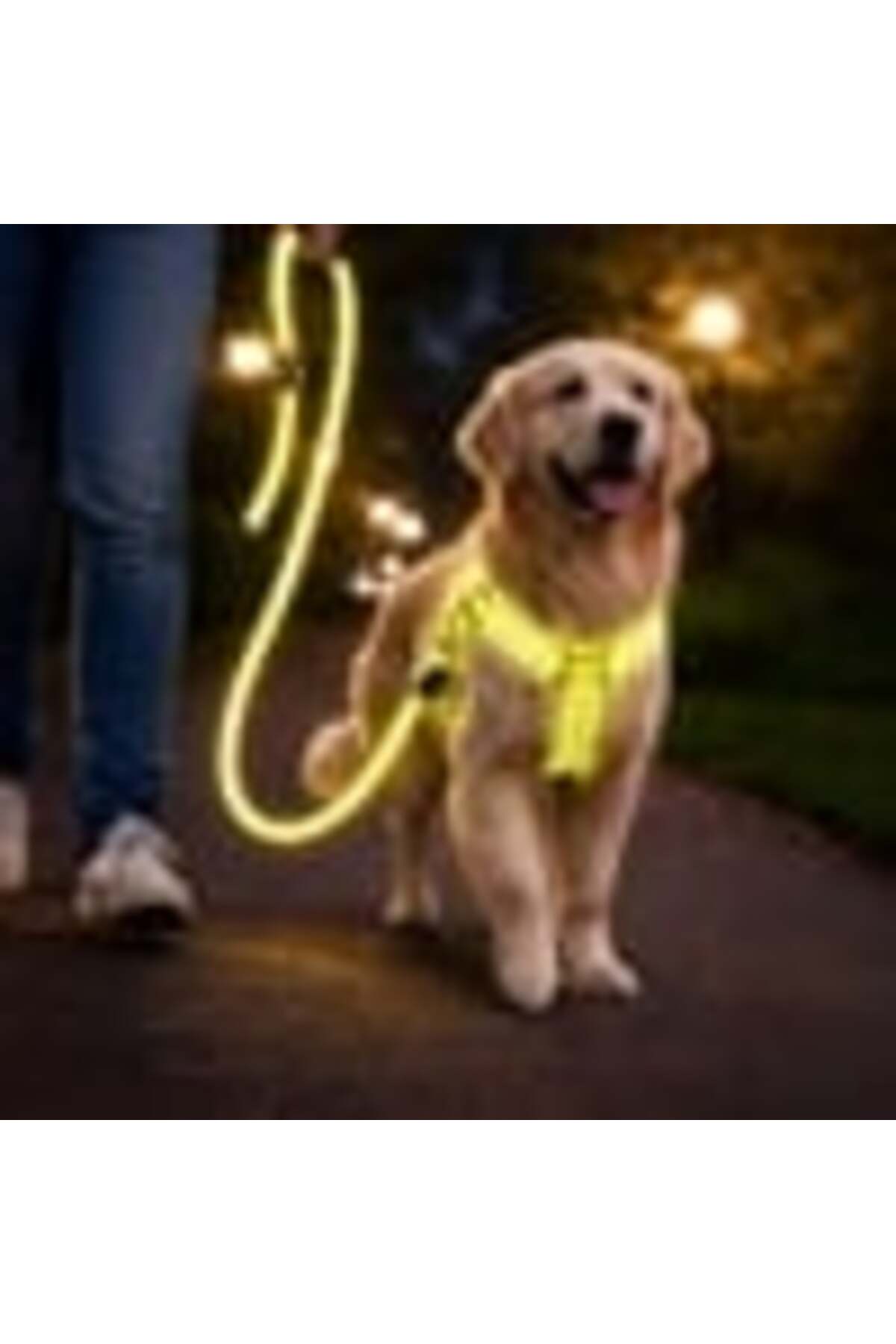 Set Lesa pentru Caine cu Ham Galben Neon