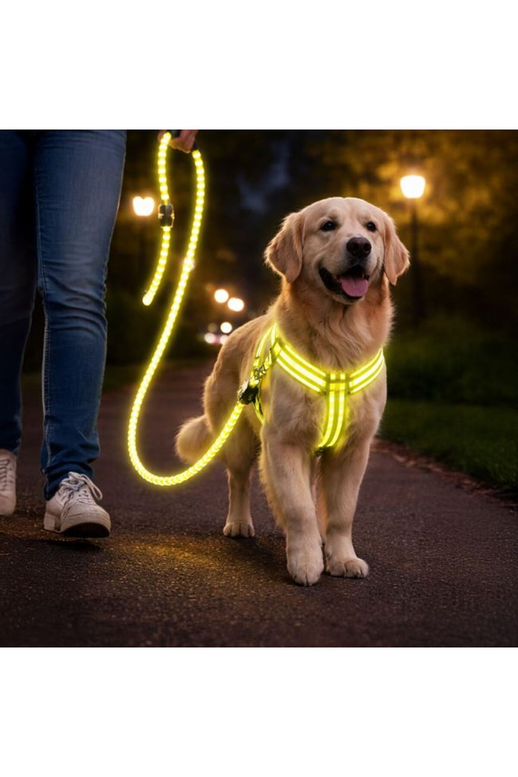 Set Lesa pentru Caine cu Ham Galben Neon