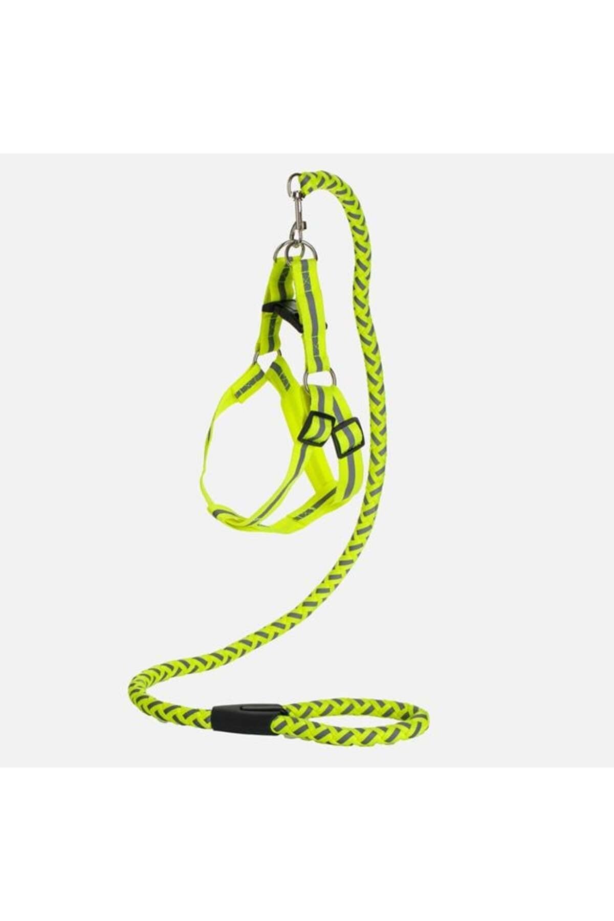 Set Lesa pentru Caine cu Ham Galben Neon