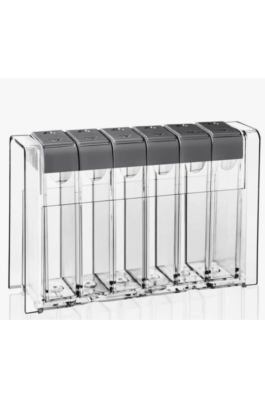 Set Recipiente pentru Condimente din Plastic Transparente Capac Gri - 6buc