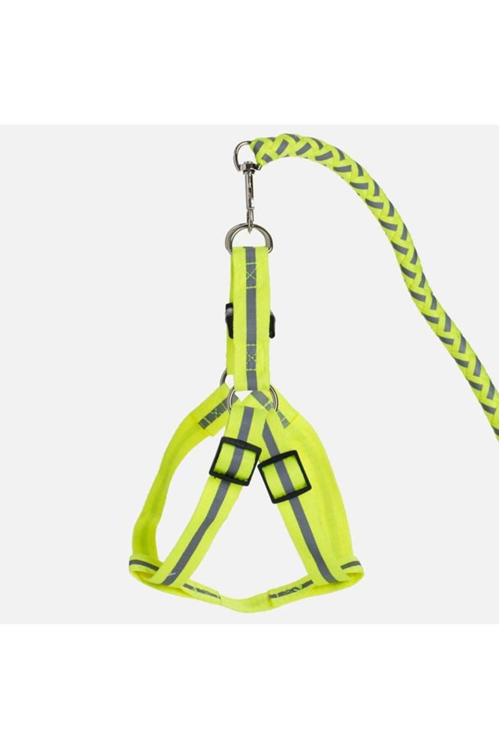 Set Lesa pentru Caine cu Ham Galben Neon