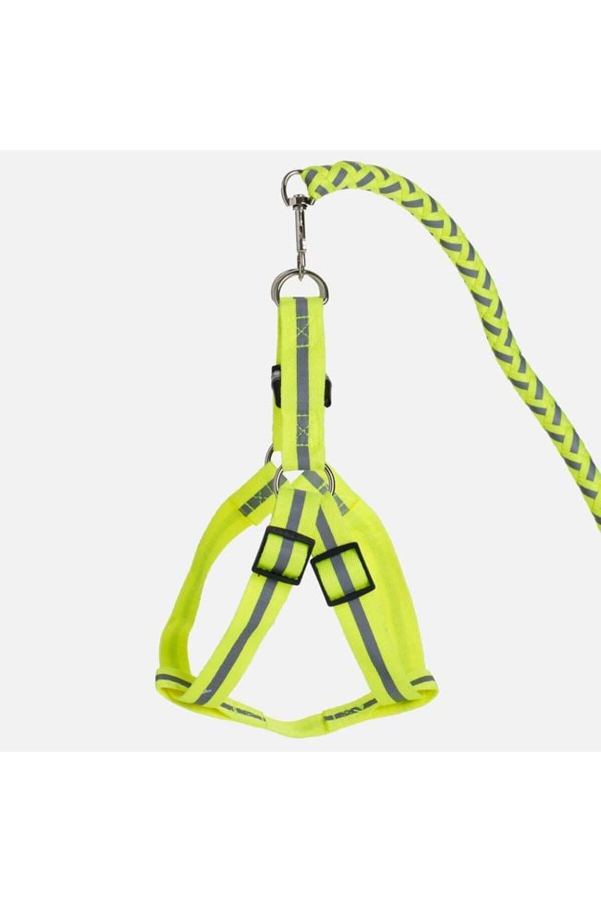 Set Lesa pentru Caine cu Ham Galben Neon